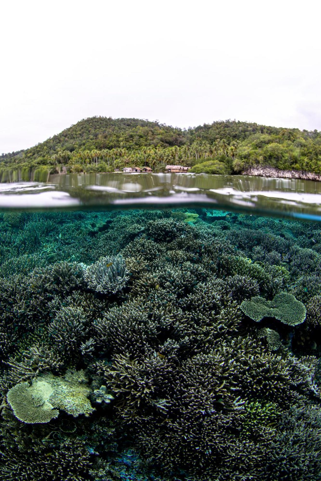 Mansuar Raja Ampat Bungalows Kri Exterior photo